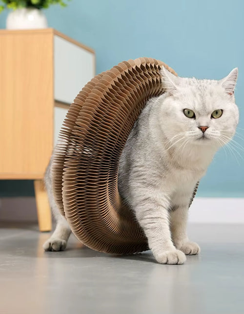 Load image into Gallery viewer, PurrfectScratch Magic Organ Cat Scratching Board – Interactive Claw Grinder &amp; Fun Toy for Cats
