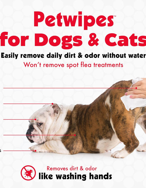 Load image into Gallery viewer, Pet Wipes for Dogs and Cats, 200 Large Wipes - Removes Dirt &amp; Odor like Washing Hands - Cleans Ears, Face, Butt, Eye Area - Convenient, Ideal for Home or Travel - 2 Packs of 100 Wipes
